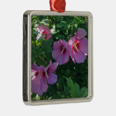 Ornement Carré Argenté Rose De Sharon Ornament (Droite)