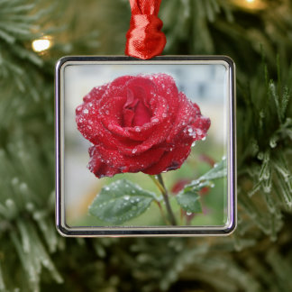 Ornement Carré Argenté Rose en gouttes de pluie 