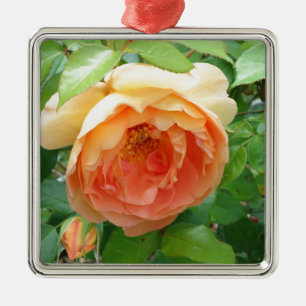 Ornement Carré Argenté Rose orange