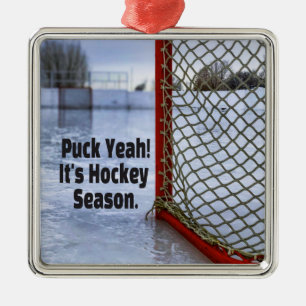 Ornement Carré Argenté Saison de hockey glace froid drôle Humour canard