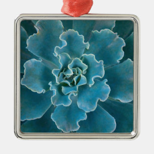 Ornement Carré Argenté San Francisco California Golden Gate Park et