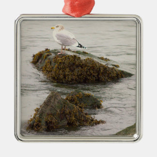 Ornement Carré Argenté Seagull Photo Ornament