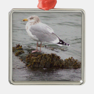 Ornement Carré Argenté Seagull Photo Ornament