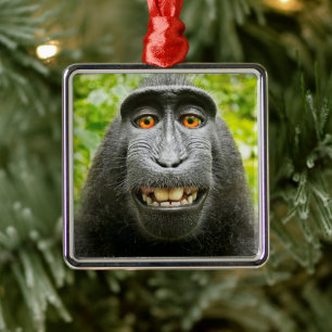 Ornement Carré Argenté Selfie de singe