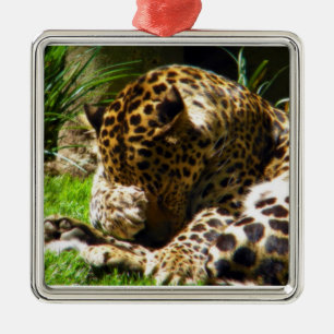 Ornement Carré Argenté Shy Leopard