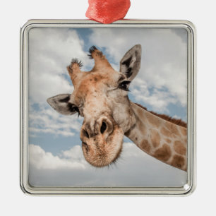 Ornement Carré Argenté Silly Giraffe