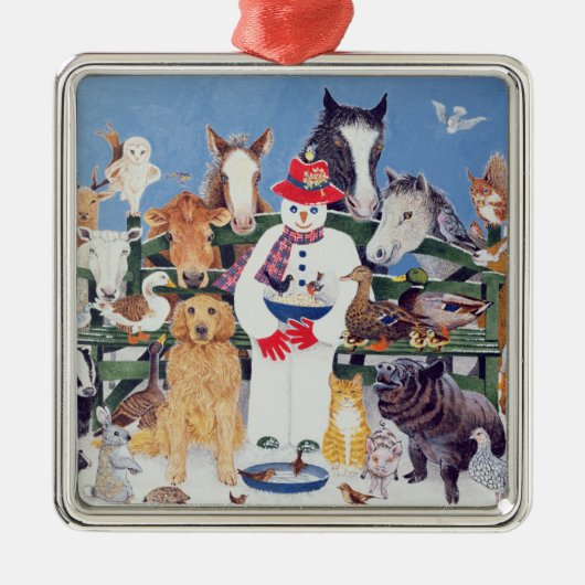 Ornement Carré Argenté Soins (Devant)