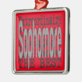 Ornement Carré Argenté Sophomore Extraordinaire (Gauche)