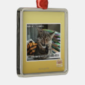 Ornement Carré Argenté sourires de chat de vampire (Droite)