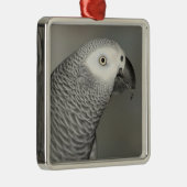 Ornement Carré Argenté Stately african Grey Parrot (Droite)