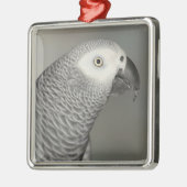 Ornement Carré Argenté Stately african Grey Parrot (Gauche)