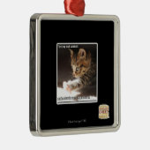 Ornement Carré Argenté Sunbaff d'owt d'essai (Droite)