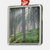 Ornement Carré Argenté Sunbeams dans la Forêt-Noire (Gauche)