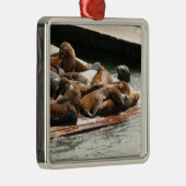 Ornement Carré Argenté Sunning Lions à San Francisco (Droite)