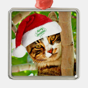 Ornement Carré Argenté Tabby de Noël dans un arbre