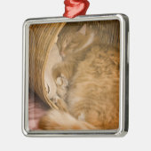 Ornement Carré Argenté Table orange dormant dans le hamper (Gauche)