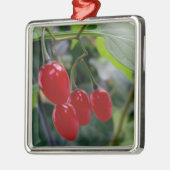 Ornement Carré Argenté Taches rouges d'automne (Gauche)