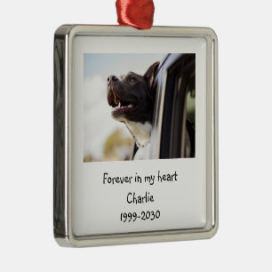 Ornement Carré Argenté Taille du paysage Photo Memorial Keepsaké chien an