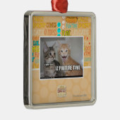 Ornement Carré Argenté temps de pikture d'iz (Droite)