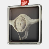 Ornement Carré Argenté Tête de Janus, de cap Dorset (Gauche)