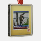 Ornement Carré Argenté Tortue d'Excaping (Droite)