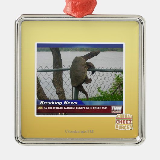 Ornement Carré Argenté Tortue d'Excaping (Devant)