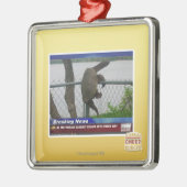 Ornement Carré Argenté Tortue d'Excaping (Gauche)