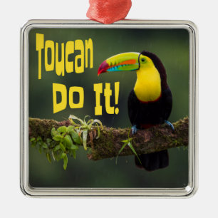 Ornement Carré Argenté Toucan Le Fait ! Coloré Motivationnel Oiseau amusa