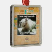 Ornement Carré Argenté Trois secondes (Droite)