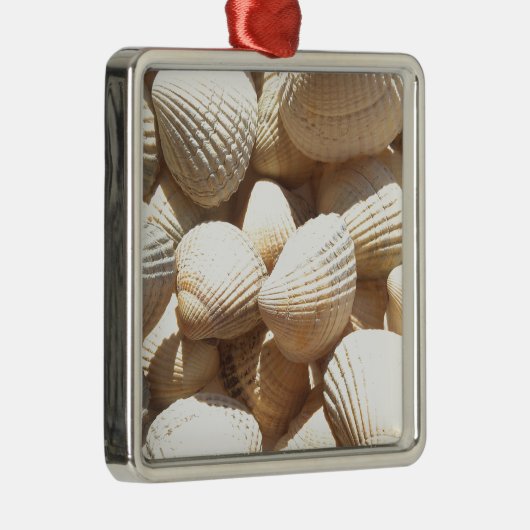 Ornement Carré Argenté Tropical Sunny Sea Shells (Droite)