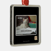 Ornement Carré Argenté Tuteur Kitty (Droite)