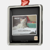 Ornement Carré Argenté Tuteur Kitty (Gauche)