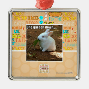 Ornement Carré Argenté Un jardin Down�