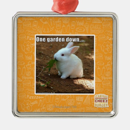 Ornement Carré Argenté Un jardin Down� (Devant)