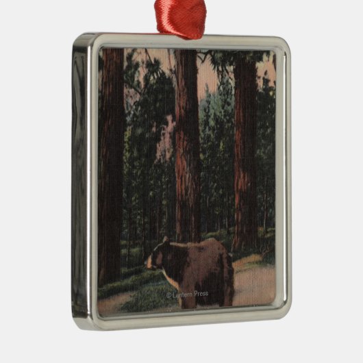 Ornement Carré Argenté Un ours Brown dans les bois (Droite)