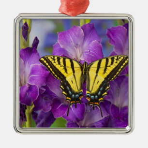 Ornement Carré Argenté Un papillon Monarque sur des Glaïeuls violets