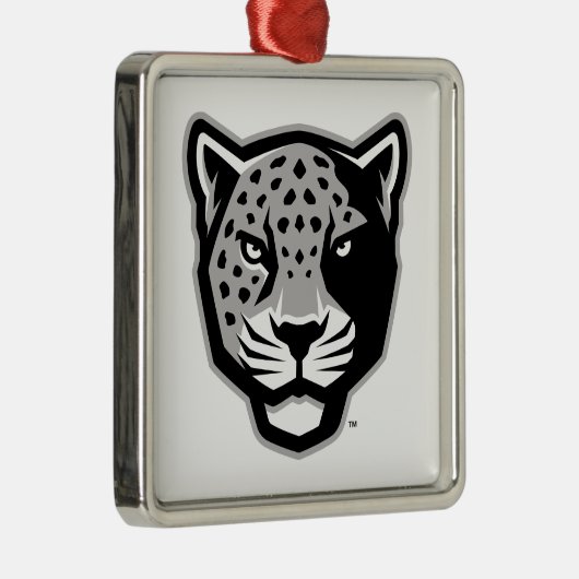 Ornement Carré Argenté Université Texas A&M de San Antonio | Jaguars (Droite)