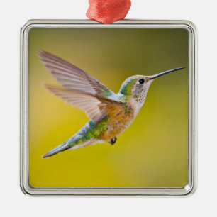 Ornement Carré Argenté USA, Colorado, Summit County, Heeney. Vue de côté