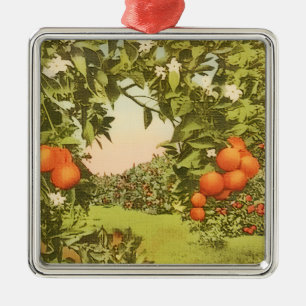 Ornement Carré Argenté Verger d'orange vintage