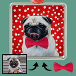 Ornement Carré Argenté Votre photo avec Accessoires numériques Casquette<br><div class="desc">Cet ornement de Noël unique et personnalisé comprend une photo personnalisée de votre animal de compagnie bien-aimé avec votre choix d'accessoires numériques. Choisissez parmi 5 arrière - plans et 8 accessoires numériques incluant chapeau santa, corps, lunettes et plus ! ! ! ! ! S'IL VOUS PLAÎT REMARQUE ! ! !...</div>