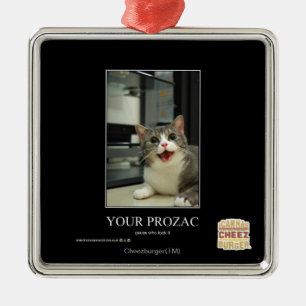 Ornement Carré Argenté Votre Prozac