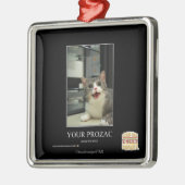 Ornement Carré Argenté Votre Prozac (Gauche)
