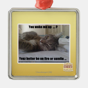 Ornement Carré Argenté Vous m'avez réveillé