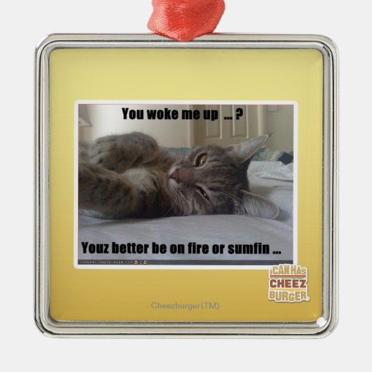 Ornement Carré Argenté Vous m'avez réveillé (Devant)