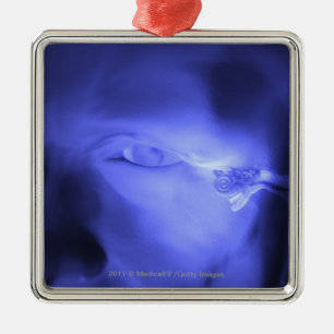 Ornement Carré Argenté Vue de face de l'oreille interne