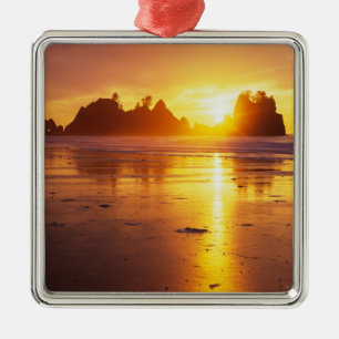 Ornement Carré Argenté WA, parc national Olympique, plage Shi Shi au couc