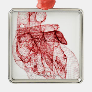 Ornement Carré Argenté Wireframe de Digitals du coeur humain