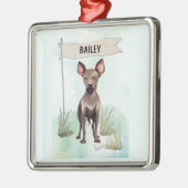 Ornement Carré Argenté Xoloitzcuintli Watercolor Personalized Dog (Gauche)