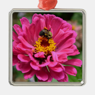 Ornement Carré Argenté Zinnia rose et Bumble bee