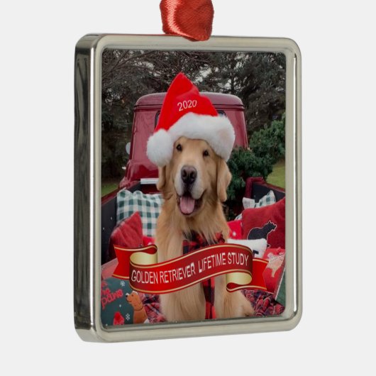 Ornement Carré d'eau 2020 (Droite)